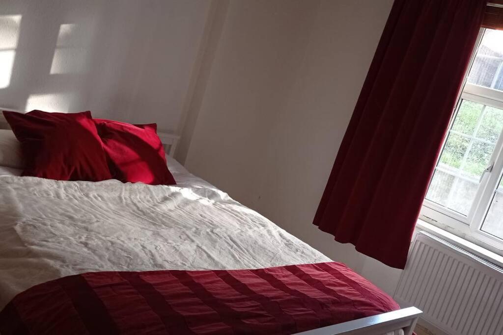 Sunny And Spacious Flat In Nw3 London Exterior foto